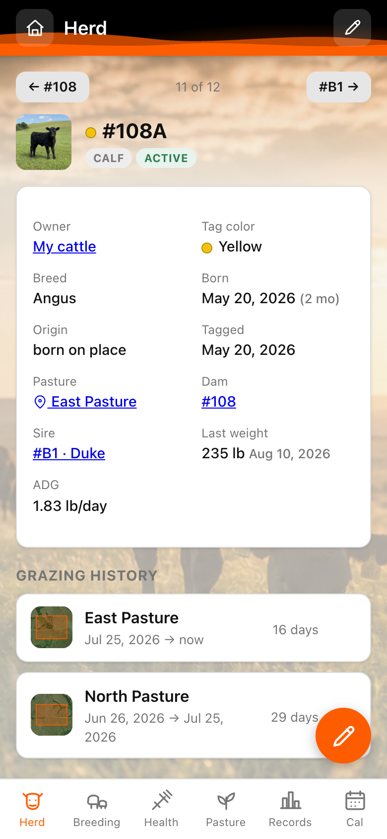 Pasture Tally animal detail showing weight history and average daily gain