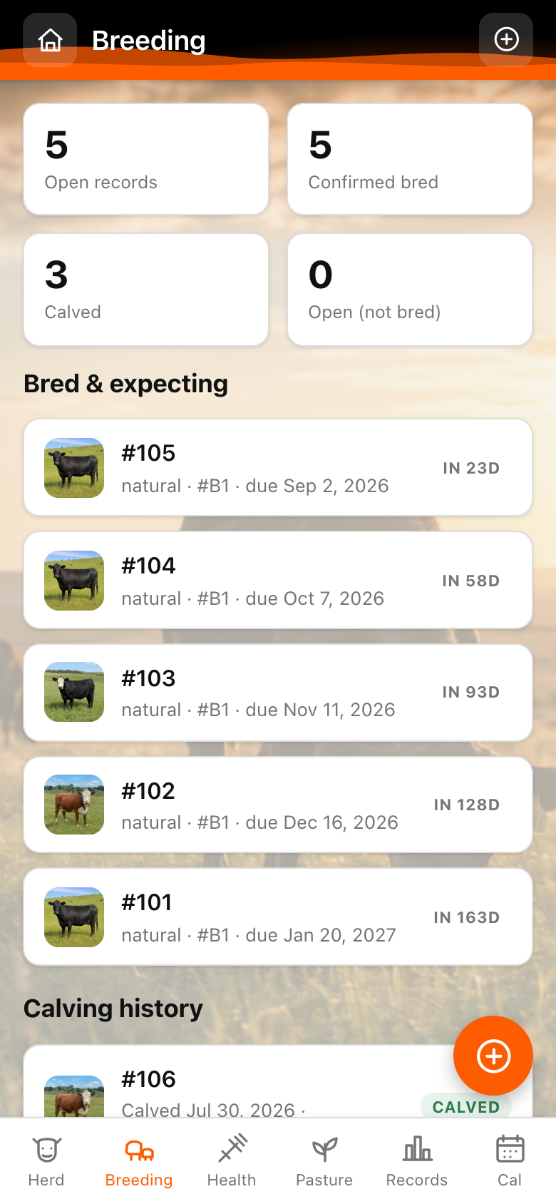 Pasture Tally breeding log with auto-calculated due dates