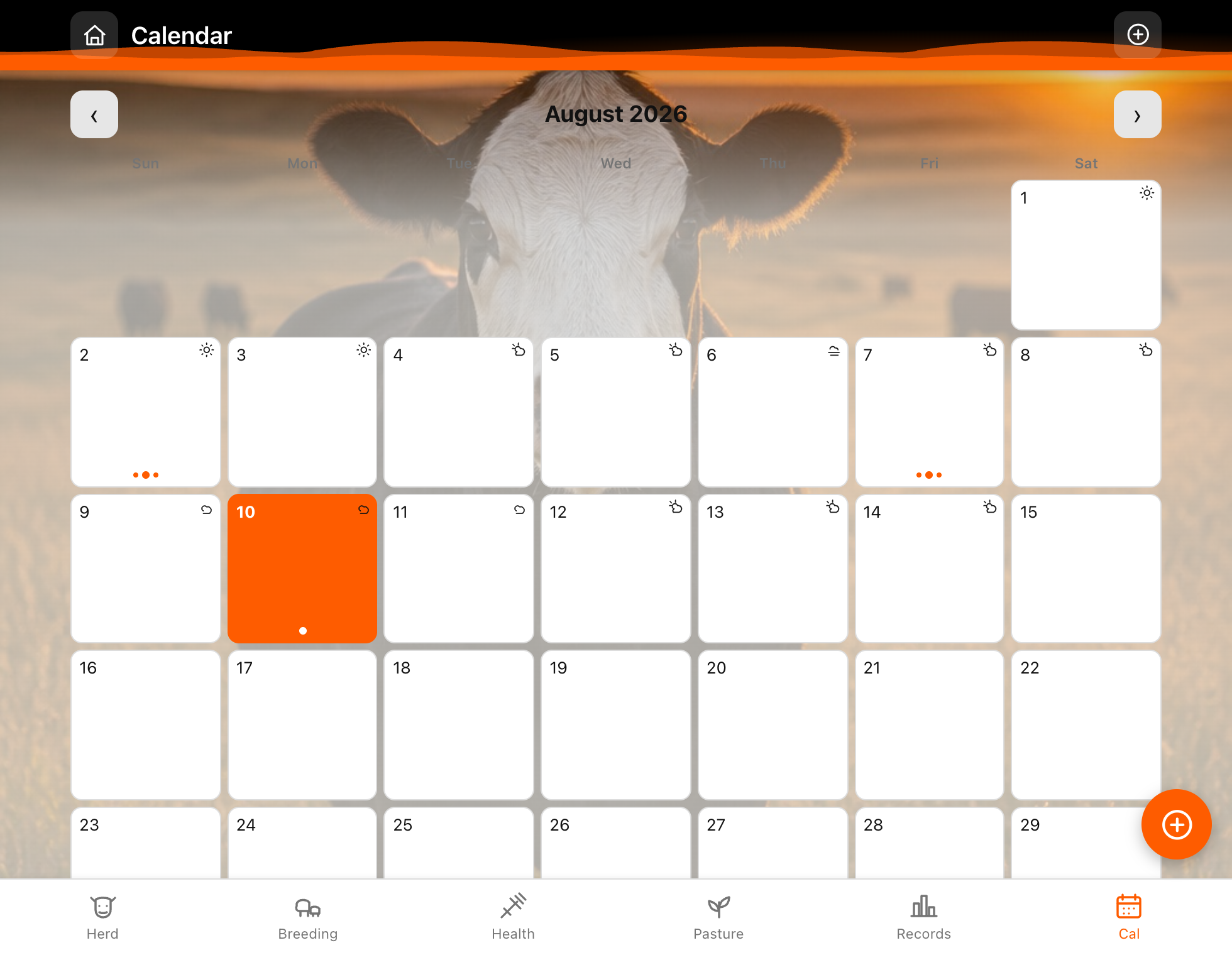 Pasture Tally monthly calendar with calvings, weigh-ins and treatments