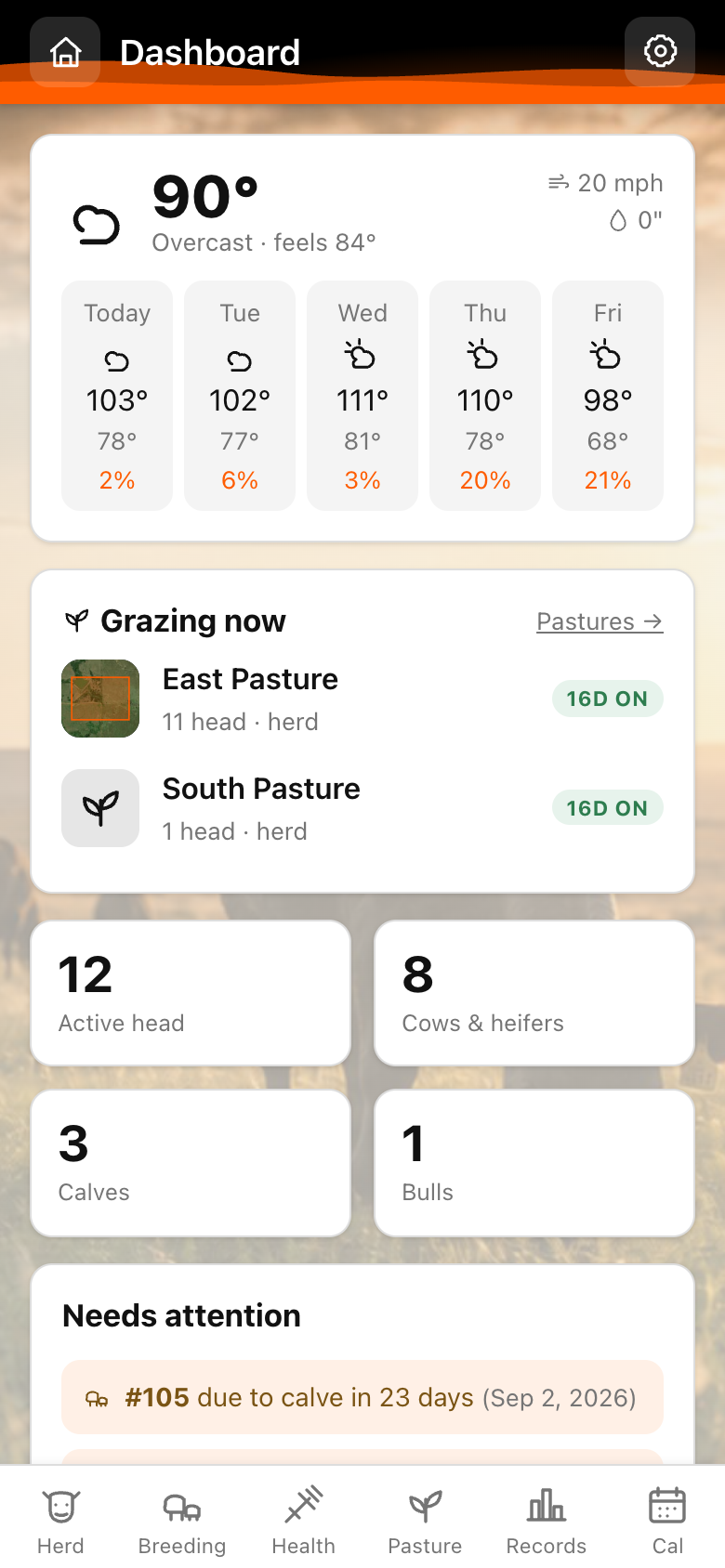 Pasture Tally Dashboard screen showing local weather, herd stats and grazing status